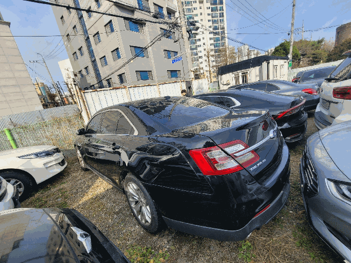 사진 2