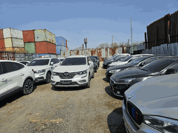 사진 7