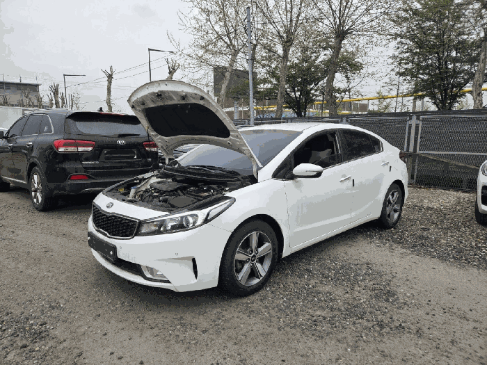 사진 6