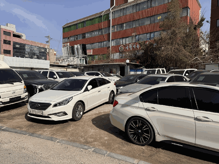 사진 5