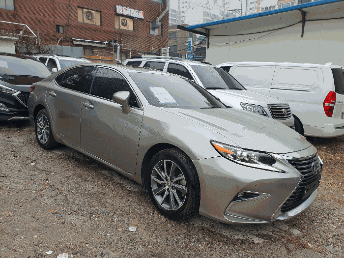 사진 6