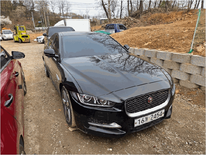 XE 사진