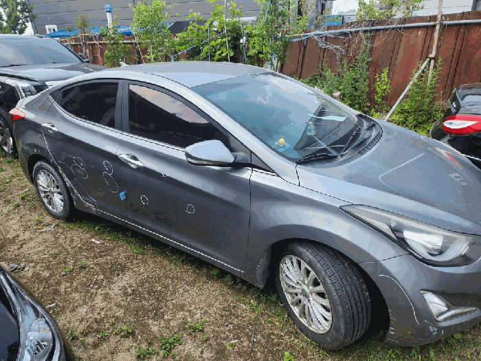 사진 5