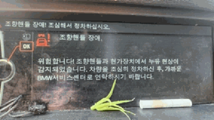 사진 10
