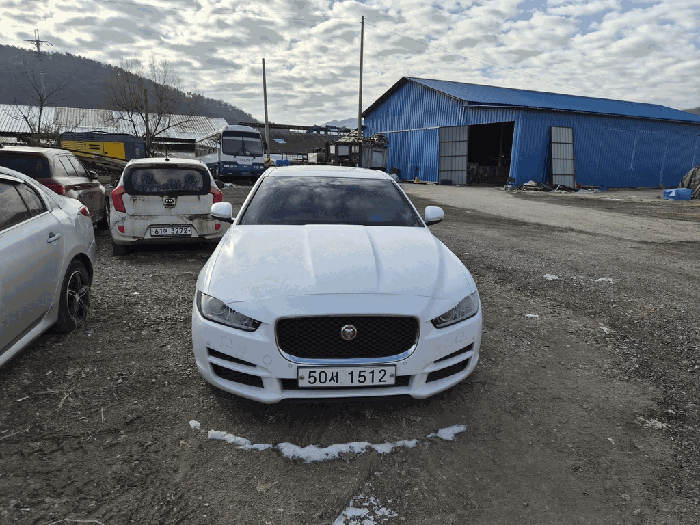 XE 사진