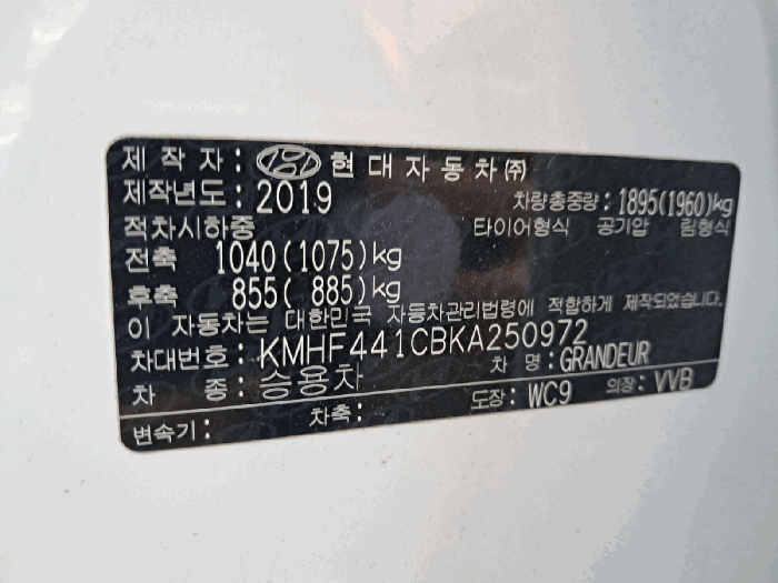 사진 7