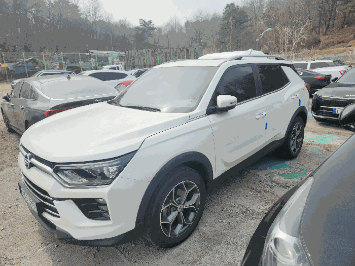 사진 9