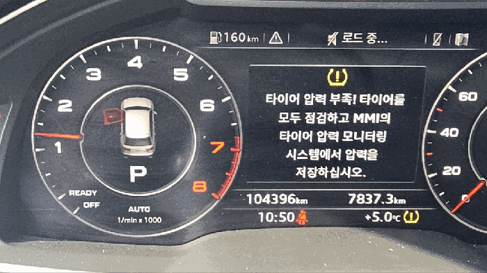 사진 10