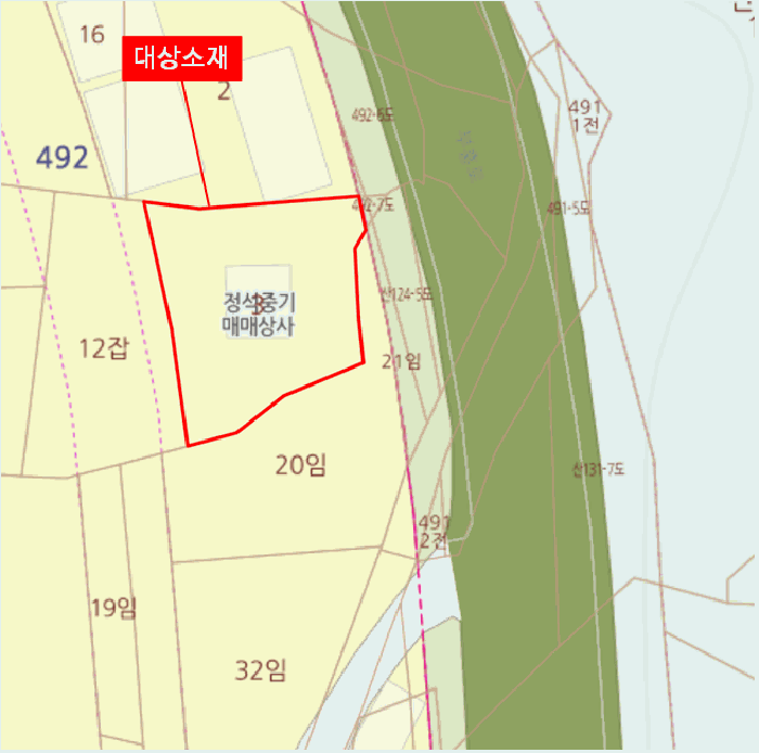 카니발 사진