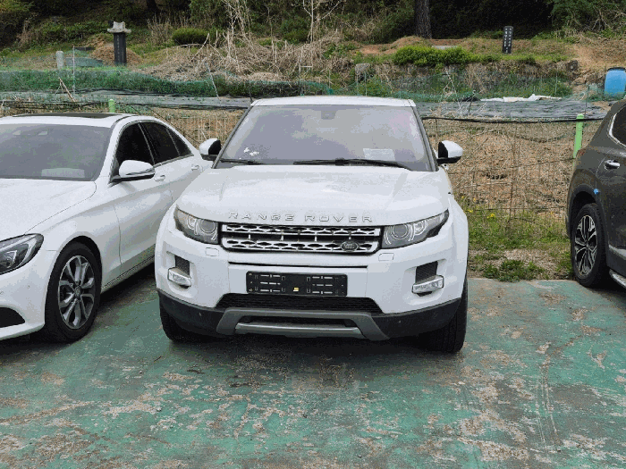 사진 3