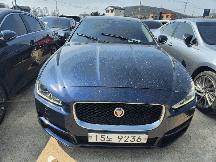 XE 사진