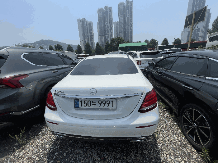 사진 6