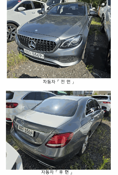 사진 2