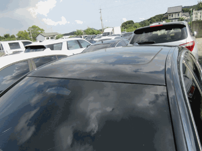 사진 5