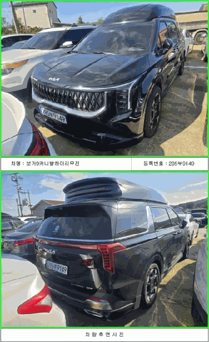 카니발 사진