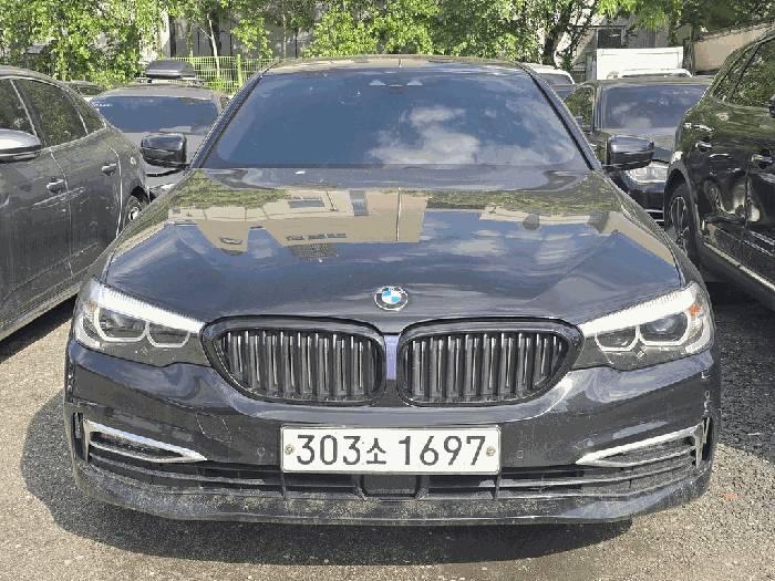 BMW 520i Luxury 사진