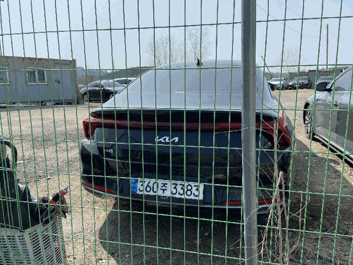 사진 6