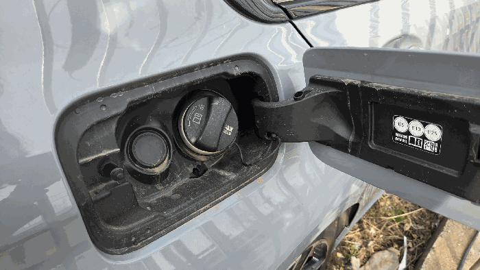 사진 12