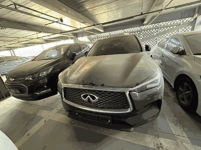 QX50 사진