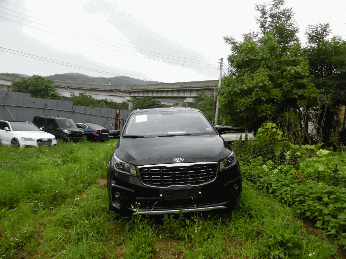 사진 12