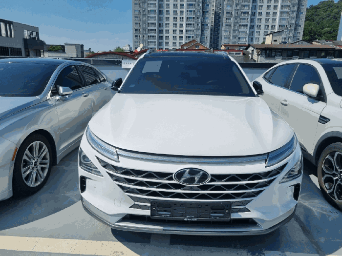 사진 5