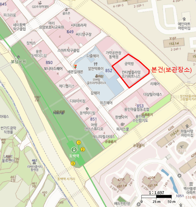 카니발 사진
