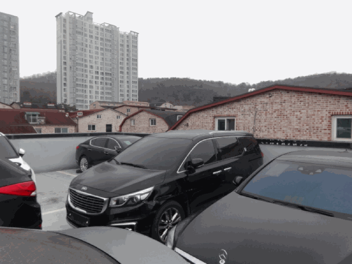 사진 12