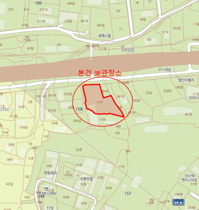 카니발 사진