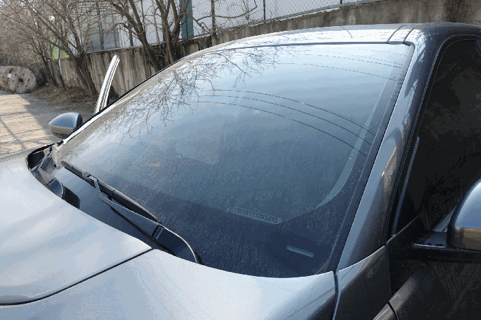 사진 41