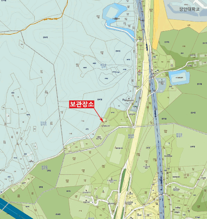 팰리세이드 사진