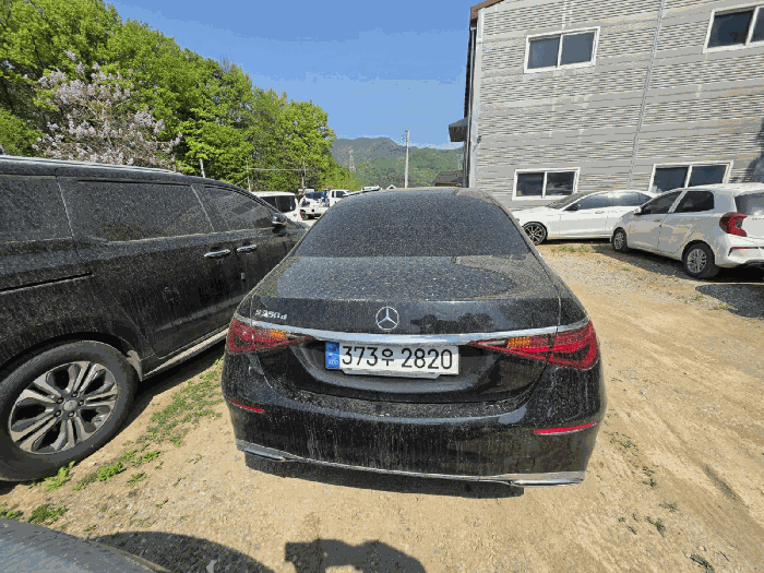 사진 5
