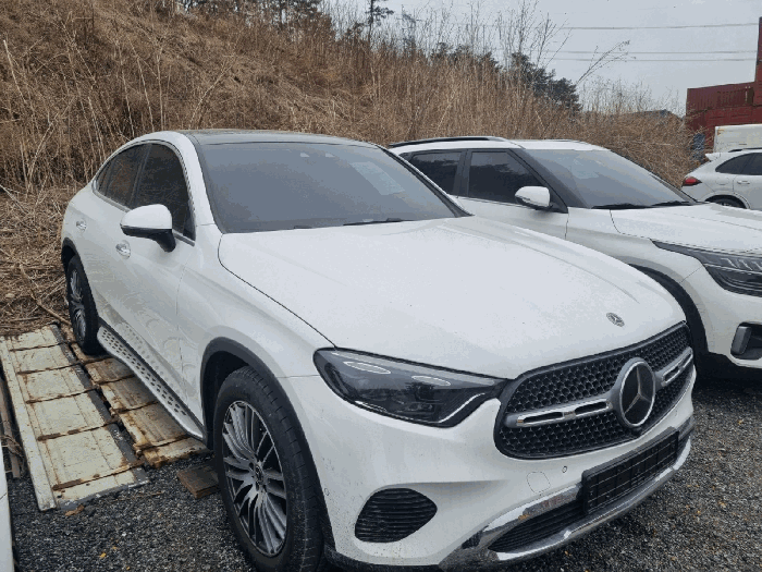 사진 6
