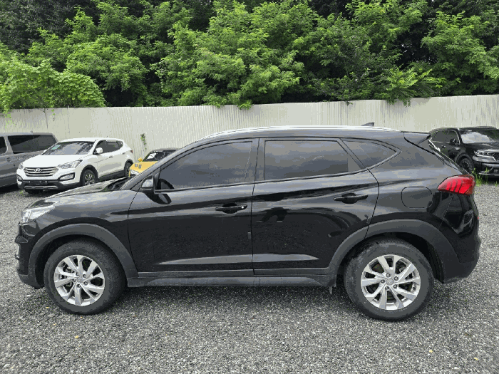 사진 3