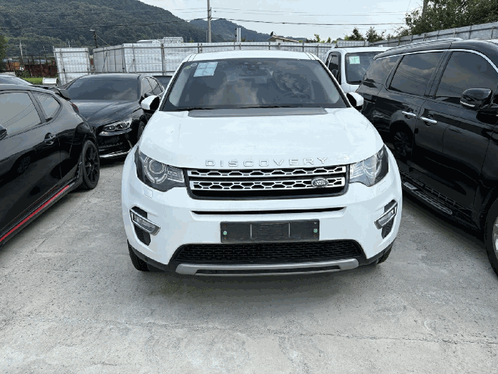 사진 9