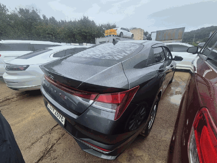사진 10