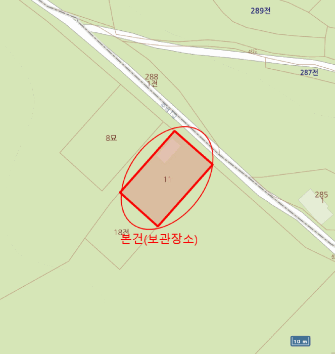 카니발 사진