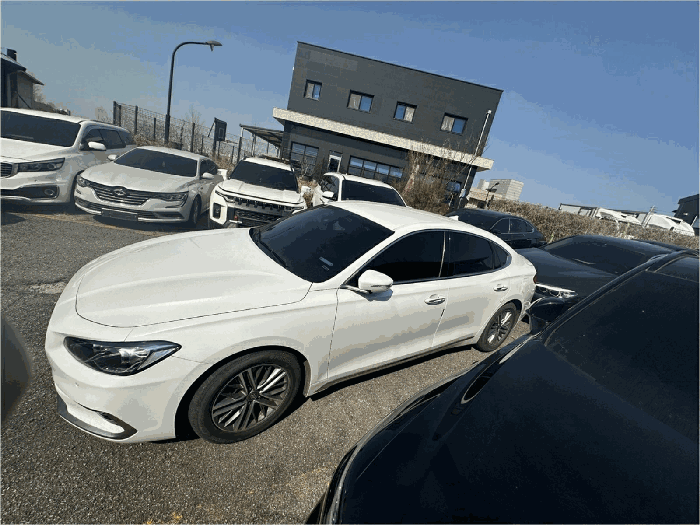 사진 5