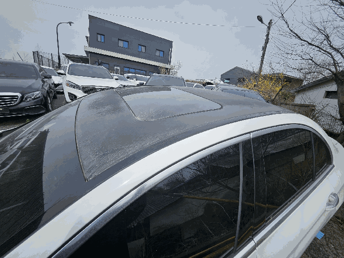 사진 11