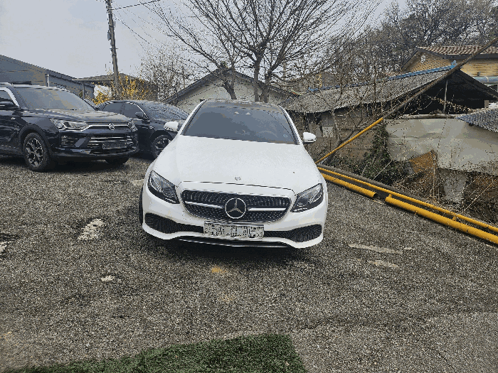 사진 2