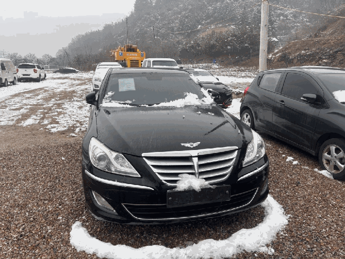 제네시스 사진