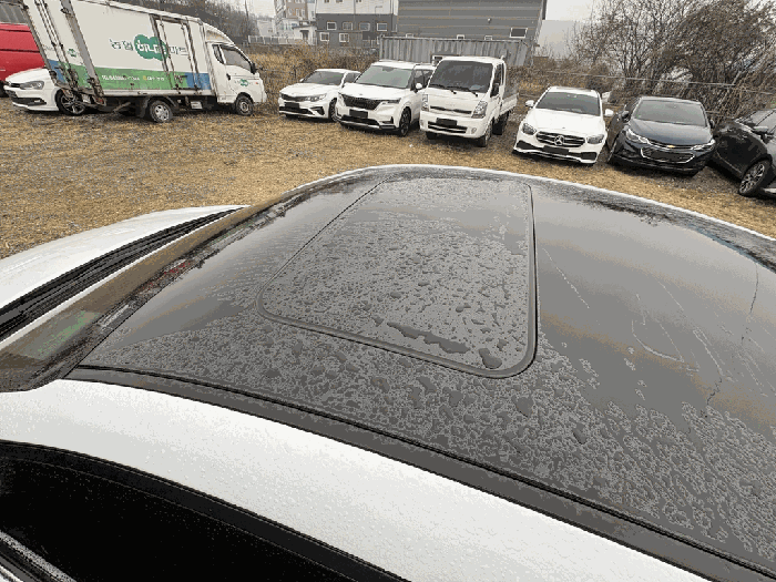 사진 3