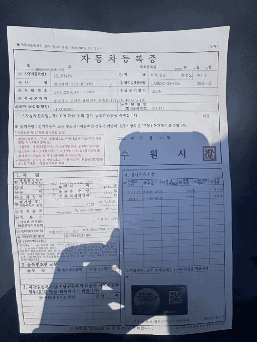사진 15