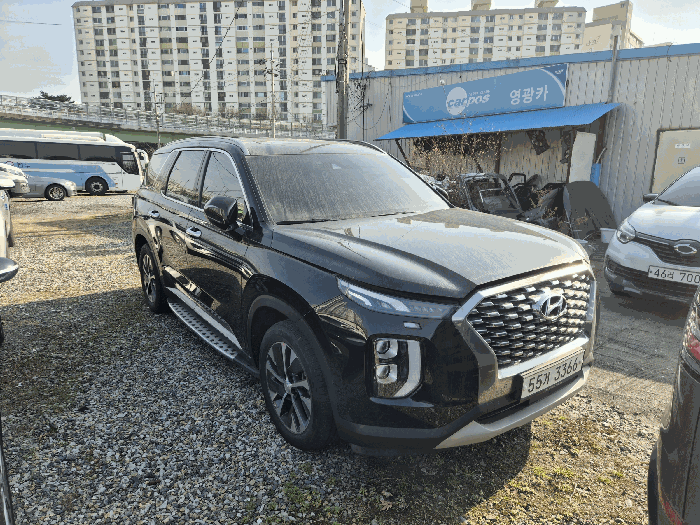 팰리세이드 사진