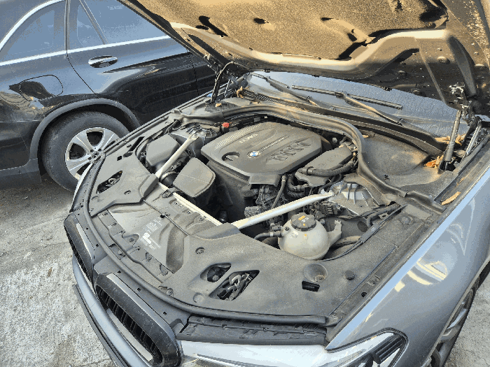 사진 5