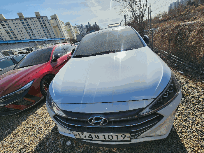 아반떼 사진