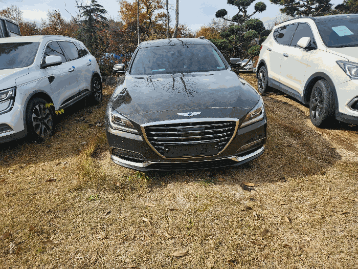 사진 2