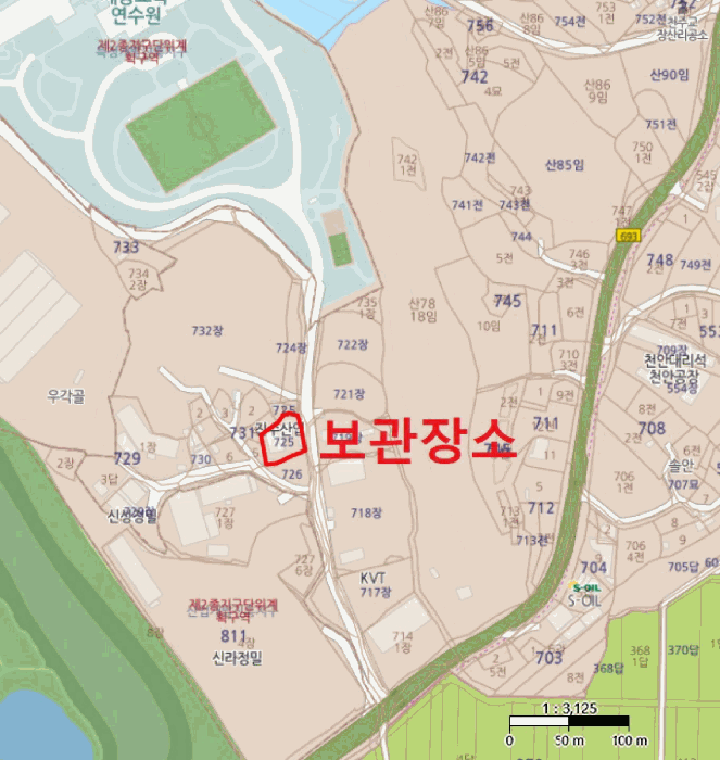 카니발 사진