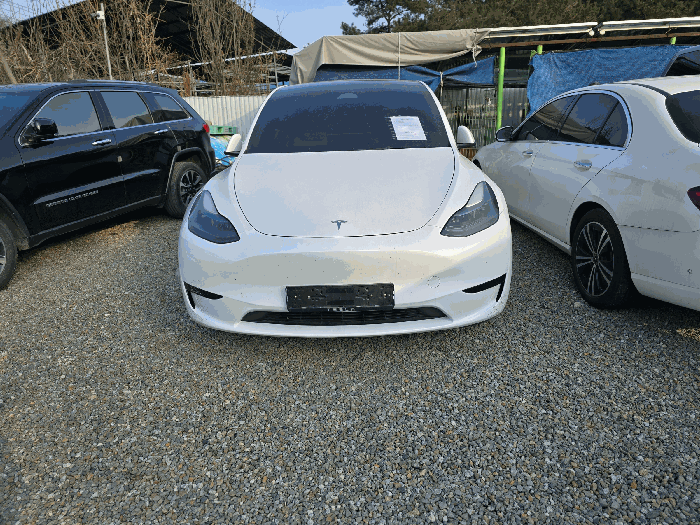 사진 3