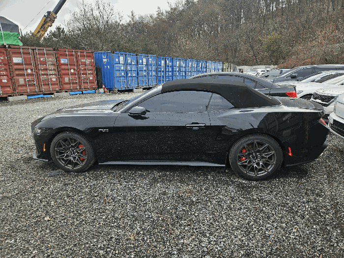 사진 6