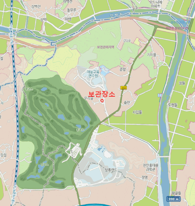 레이 사진
